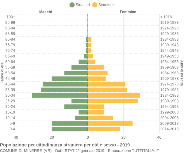 Grafico cittadini stranieri - Minerbe 2019