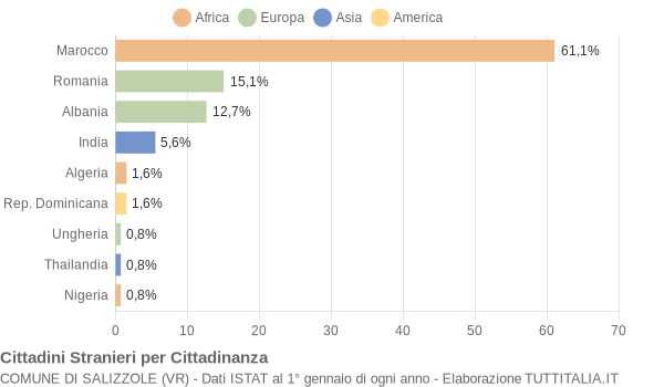 Grafico cittadinanza stranieri - Salizzole 2005