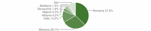 Grafico cittadinanza stranieri - Salizzole 2013