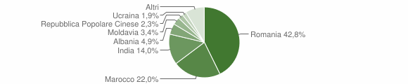 Grafico cittadinanza stranieri - Salizzole 2016