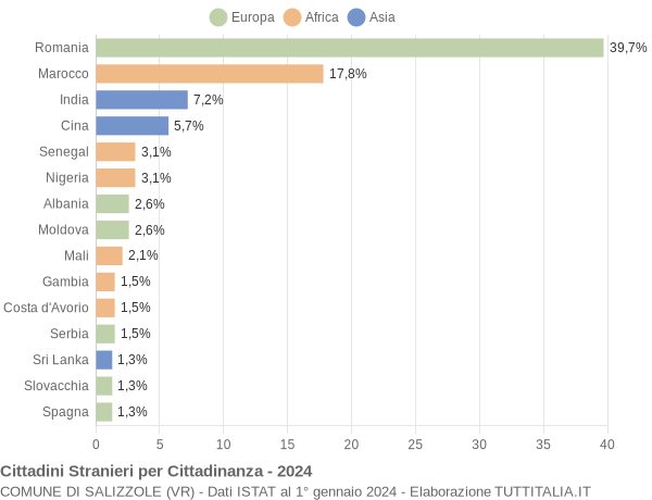 Grafico cittadinanza stranieri - Salizzole 2024