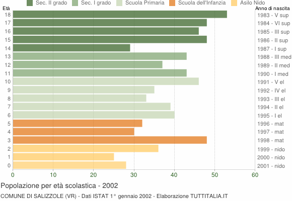 Grafico Popolazione in età scolastica - Salizzole 2002
