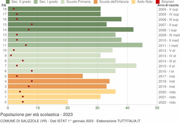 Grafico Popolazione in età scolastica - Salizzole 2023