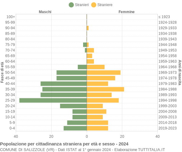 Grafico cittadini stranieri - Salizzole 2024