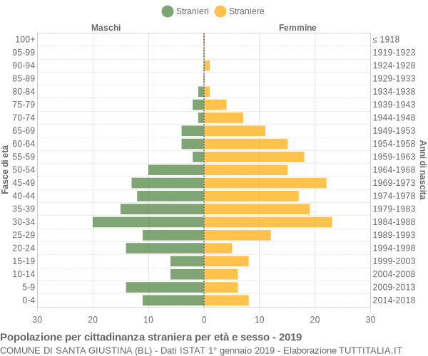 Grafico cittadini stranieri - Santa Giustina 2019