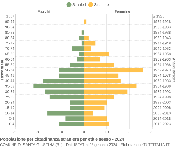 Grafico cittadini stranieri - Santa Giustina 2024