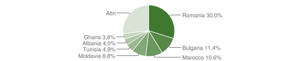 Grafico cittadinanza stranieri - Soave 2009