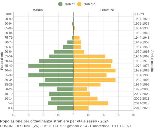 Grafico cittadini stranieri - Soave 2024