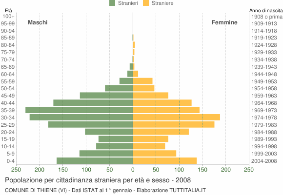 Grafico cittadini stranieri - Thiene 2008