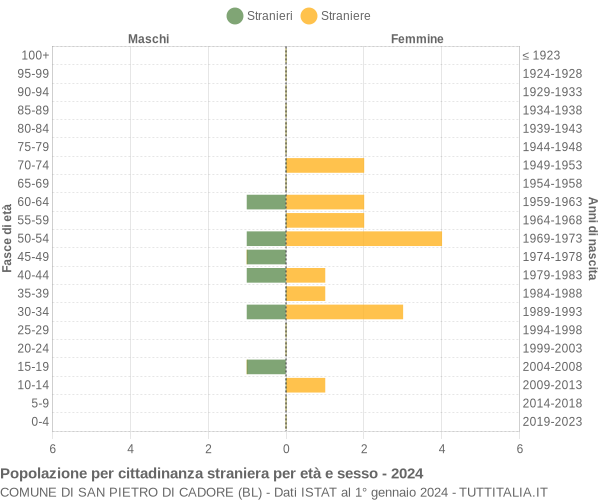 Grafico cittadini stranieri - San Pietro di Cadore 2024