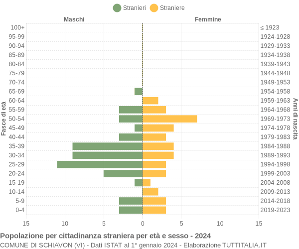 Grafico cittadini stranieri - Schiavon 2024