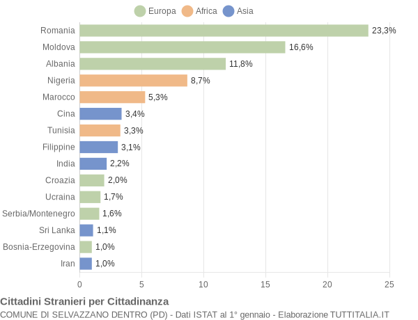 Grafico cittadinanza stranieri - Selvazzano Dentro 2006