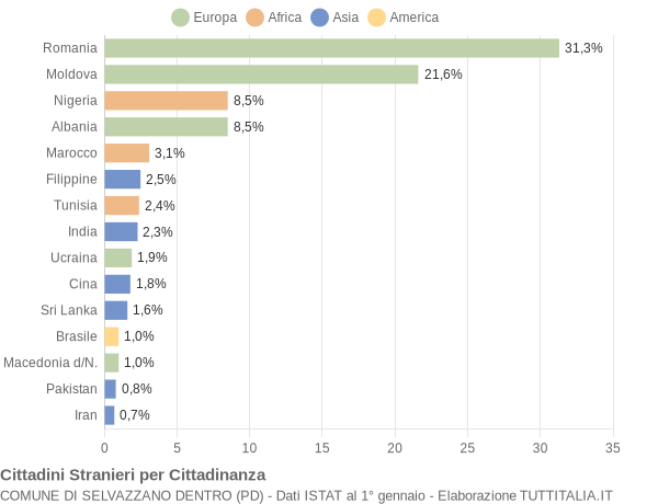 Grafico cittadinanza stranieri - Selvazzano Dentro 2011