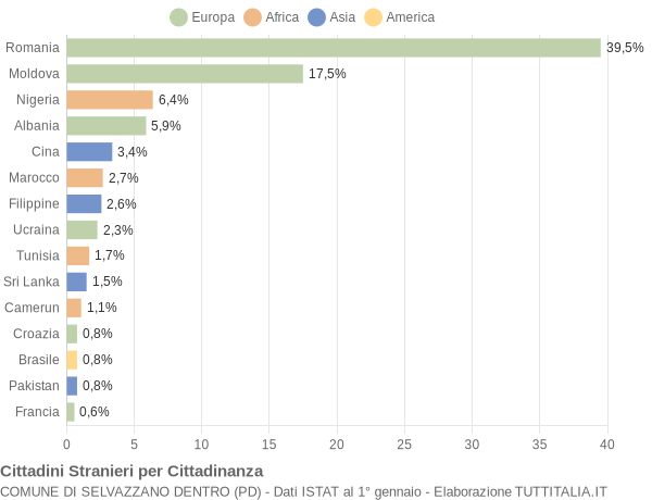 Grafico cittadinanza stranieri - Selvazzano Dentro 2019