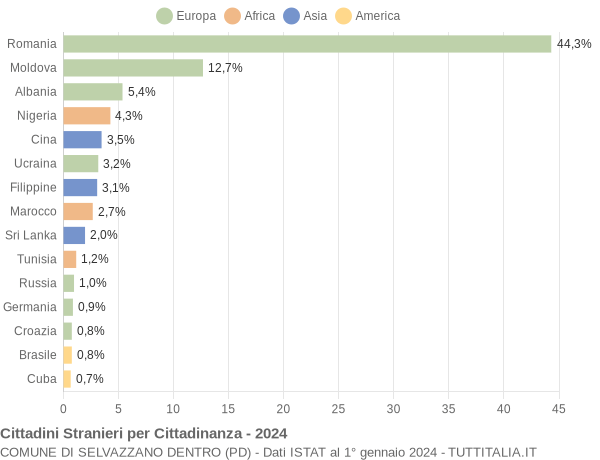 Grafico cittadinanza stranieri - Selvazzano Dentro 2024