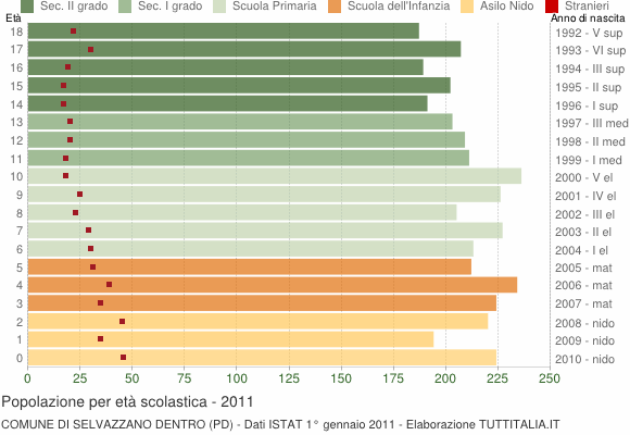 Grafico Popolazione in età scolastica - Selvazzano Dentro 2011
