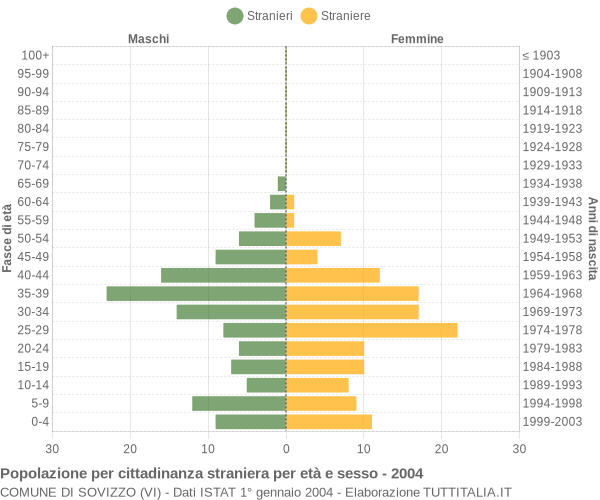 Grafico cittadini stranieri - Sovizzo 2004