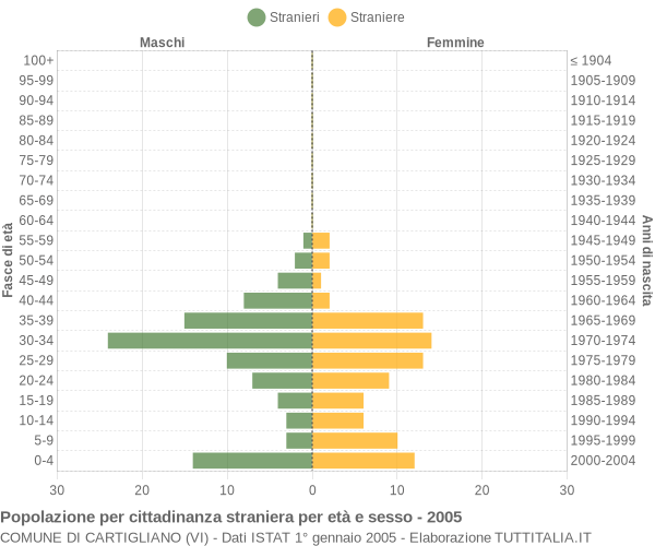 Grafico cittadini stranieri - Cartigliano 2005