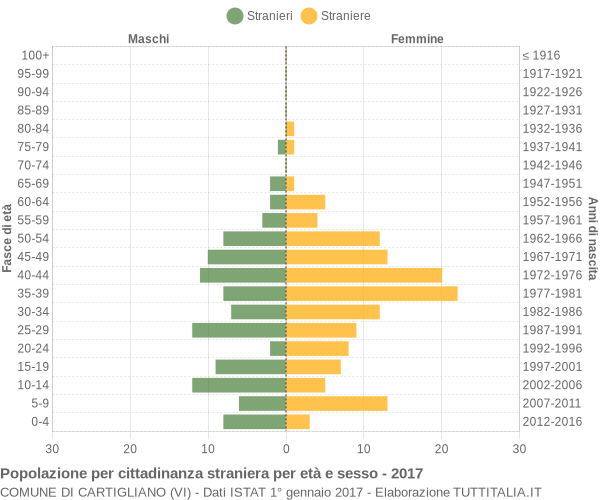 Grafico cittadini stranieri - Cartigliano 2017