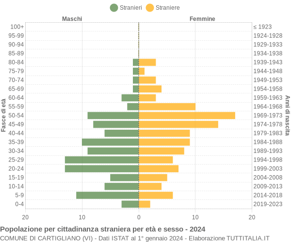 Grafico cittadini stranieri - Cartigliano 2024