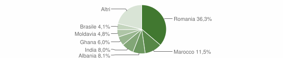 Grafico cittadinanza stranieri - Colognola ai Colli 2013