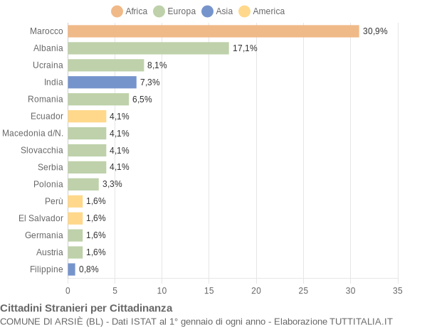 Grafico cittadinanza stranieri - Arsiè 2009