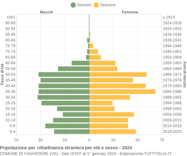 Grafico cittadini stranieri - Cavarzere 2024