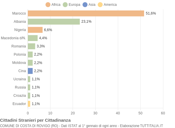 Grafico cittadinanza stranieri - Costa di Rovigo 2005