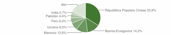 Grafico cittadinanza stranieri - Domegge di Cadore 2010