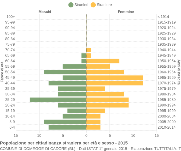 Grafico cittadini stranieri - Domegge di Cadore 2015