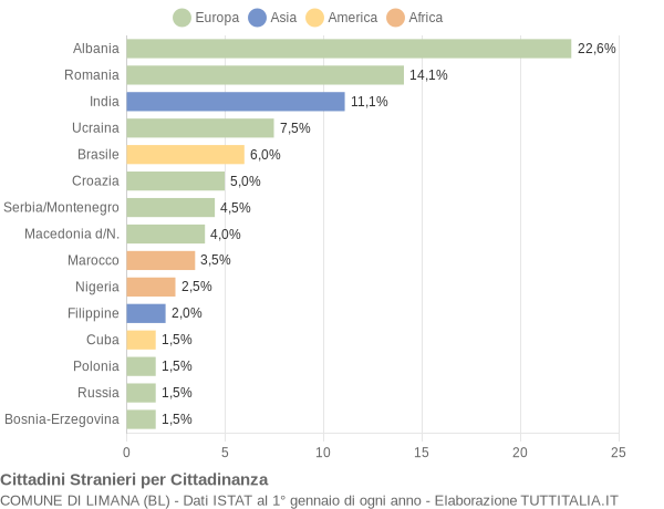 Grafico cittadinanza stranieri - Limana 2008