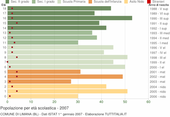 Grafico Popolazione in età scolastica - Limana 2007