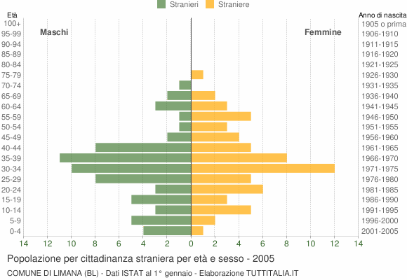 Grafico cittadini stranieri - Limana 2005