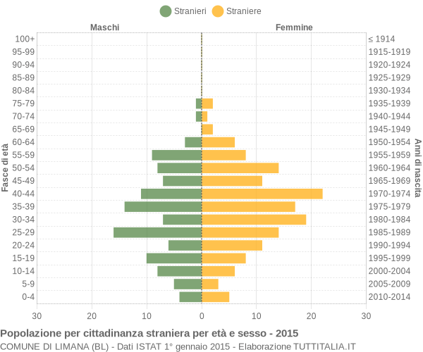 Grafico cittadini stranieri - Limana 2015