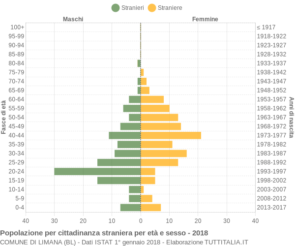 Grafico cittadini stranieri - Limana 2018