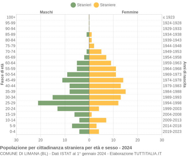 Grafico cittadini stranieri - Limana 2024