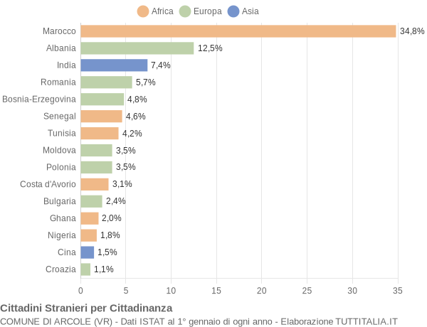 Grafico cittadinanza stranieri - Arcole 2005