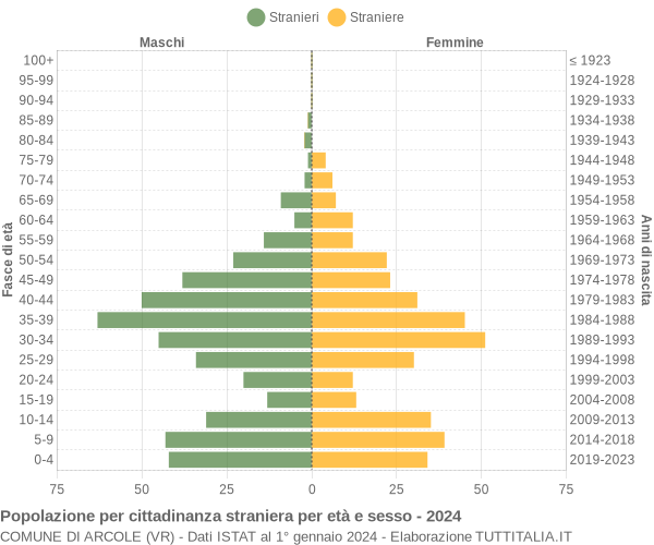 Grafico cittadini stranieri - Arcole 2024