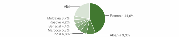 Grafico cittadinanza stranieri - Oderzo 2014