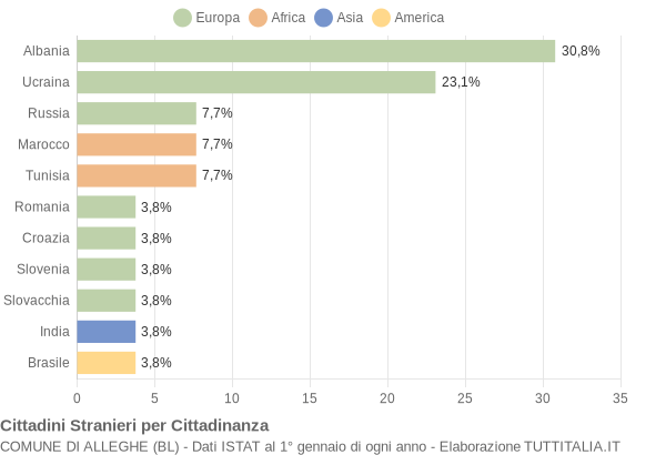 Grafico cittadinanza stranieri - Alleghe 2007