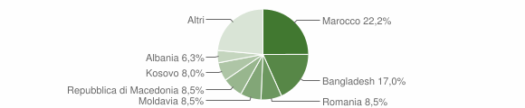 Grafico cittadinanza stranieri - Chiuppano 2013