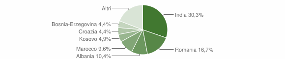 Grafico cittadinanza stranieri - Ormelle 2010