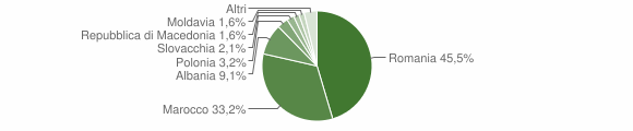 Grafico cittadinanza stranieri - Palù 2009