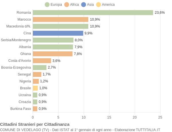 Grafico cittadinanza stranieri - Vedelago 2005