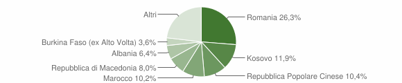 Grafico cittadinanza stranieri - Vedelago 2012