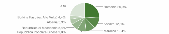Grafico cittadinanza stranieri - Vedelago 2013