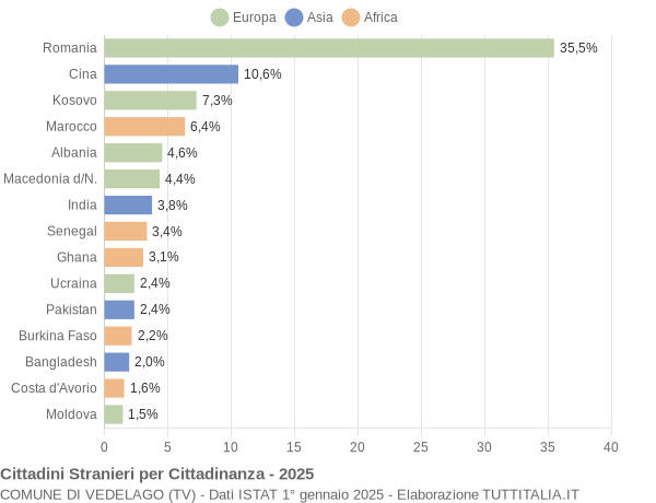 Grafico cittadinanza stranieri - Vedelago 2025