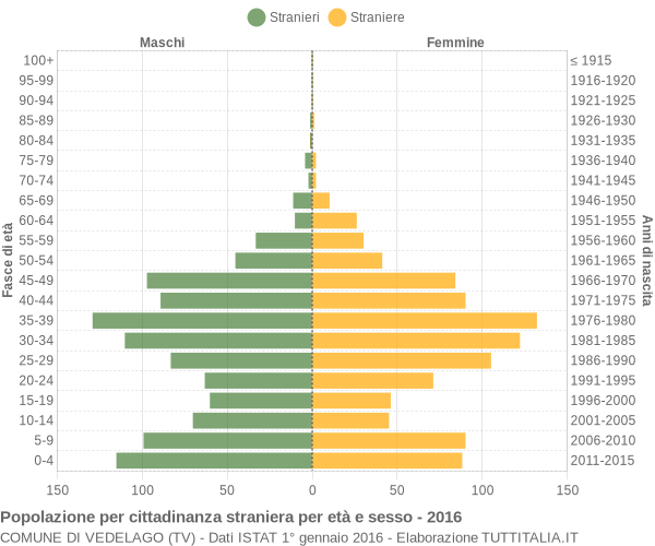 Grafico cittadini stranieri - Vedelago 2016