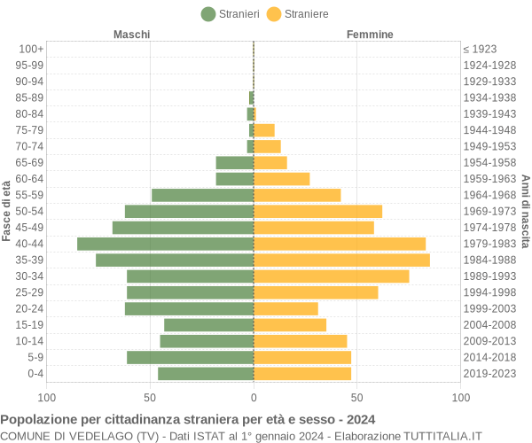 Grafico cittadini stranieri - Vedelago 2024