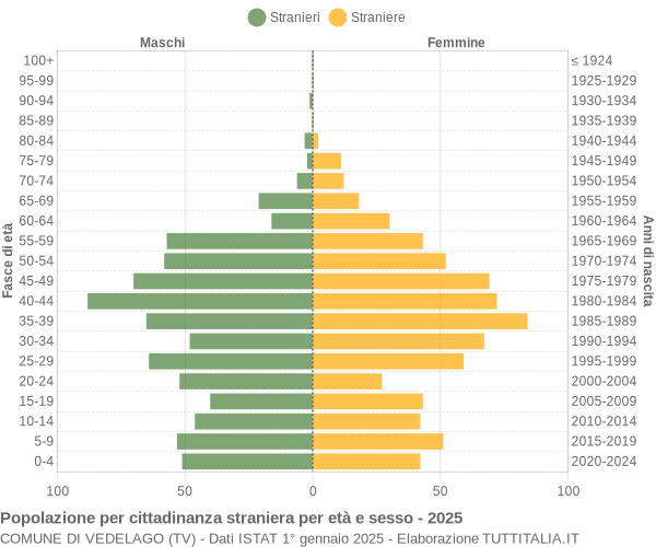 Grafico cittadini stranieri - Vedelago 2025